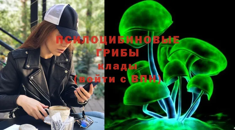 Галлюциногенные грибы Cubensis  Дмитров 